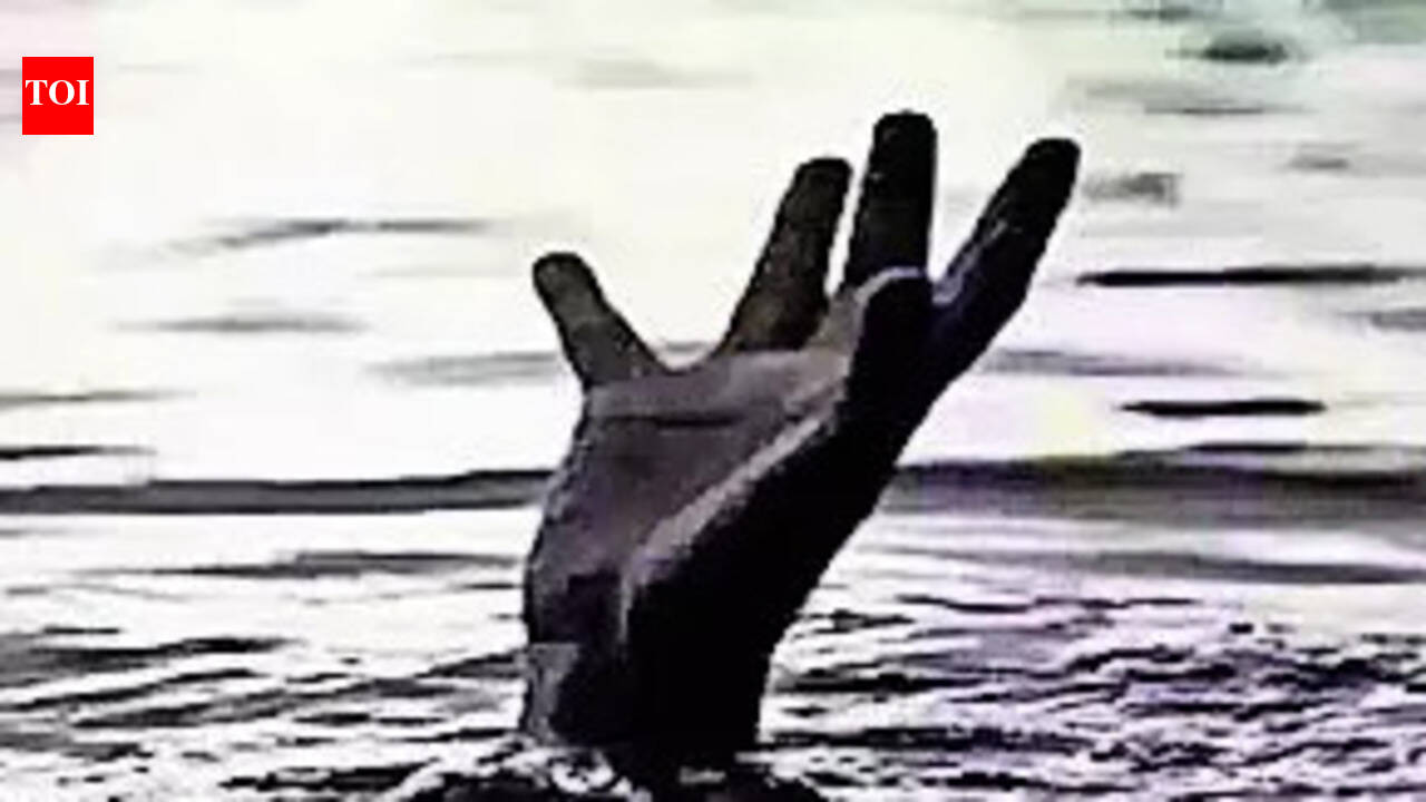 3 kids, out to collect wood due to LPG crisis, drown in Saryu