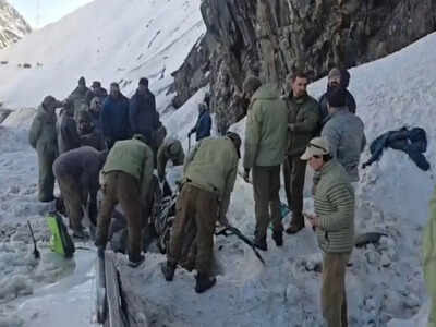 7 killed as avalanche buries several vehicles at Zojila Pass