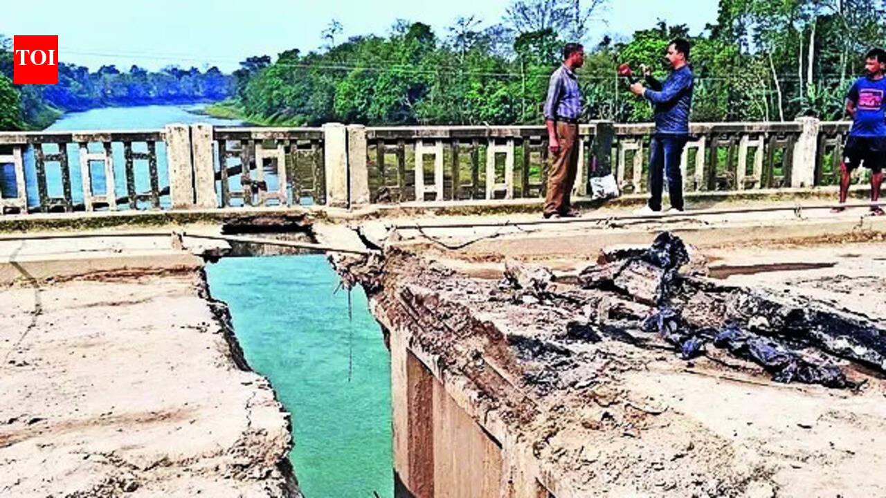 Gammon bridge collapses in Sivasagar, halts NH-37 traffic