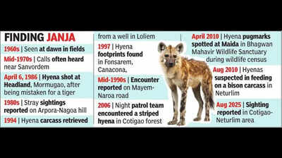 Silence of the striped hyena: Greens in state seek survey of fading status