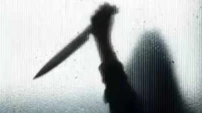 Wisconsin horror: 41-year-old woman stabbed 107 times, body found days after killing