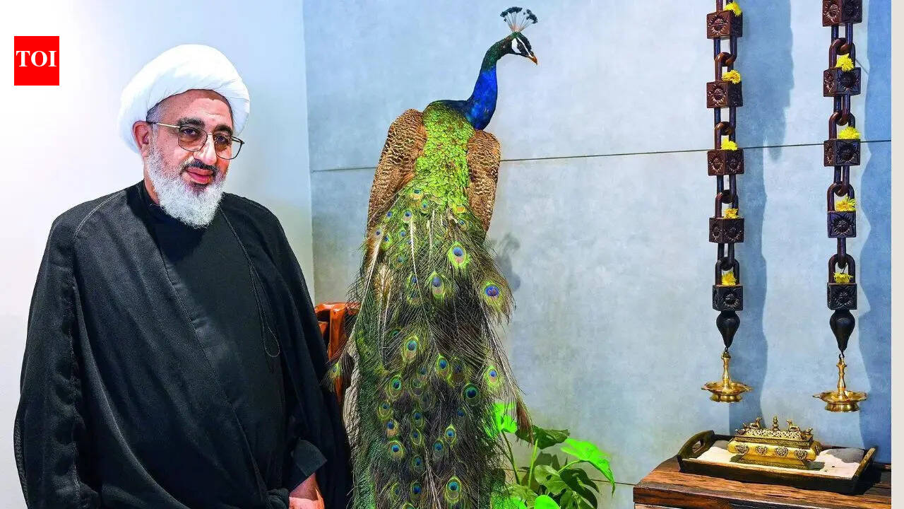 Interview | ‘Iran will never go nuclear, India can help end this war,’ says Khamenei’s representative