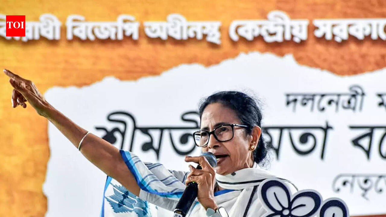 EC seeks report on Mamata’s ‘provocative’ remark from CEO