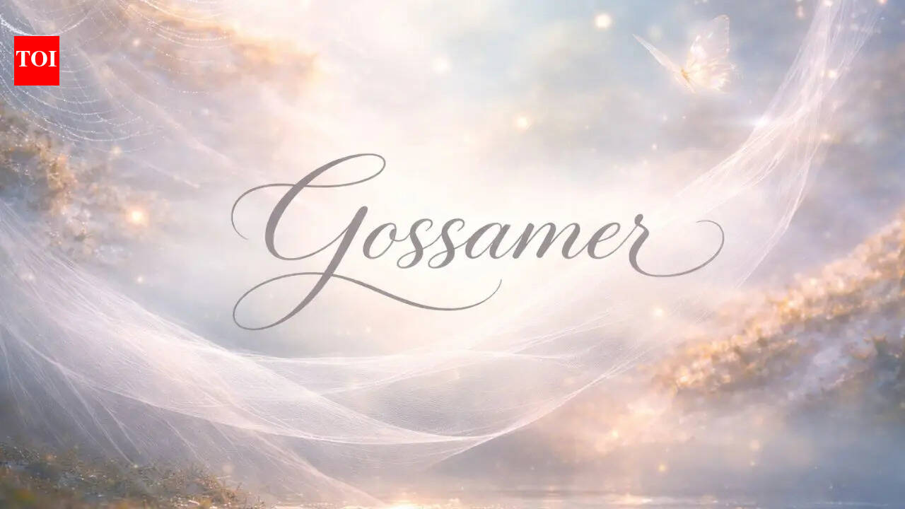 Word of the Day: Gossamer