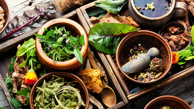  Documenting 50,000 medicinal plants for global Ayurveda