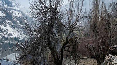 IMD issues yellow alert in Himachal Pradesh: Snowfall, rain, thunderstorms likely till March 30