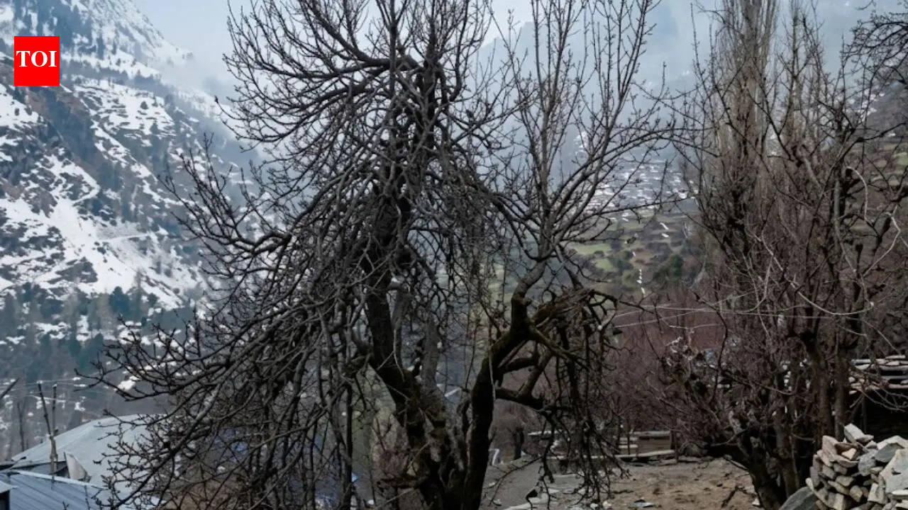 IMD issues yellow alert in Himachal Pradesh: Snowfall, rain, thunderstorms likely till March 30