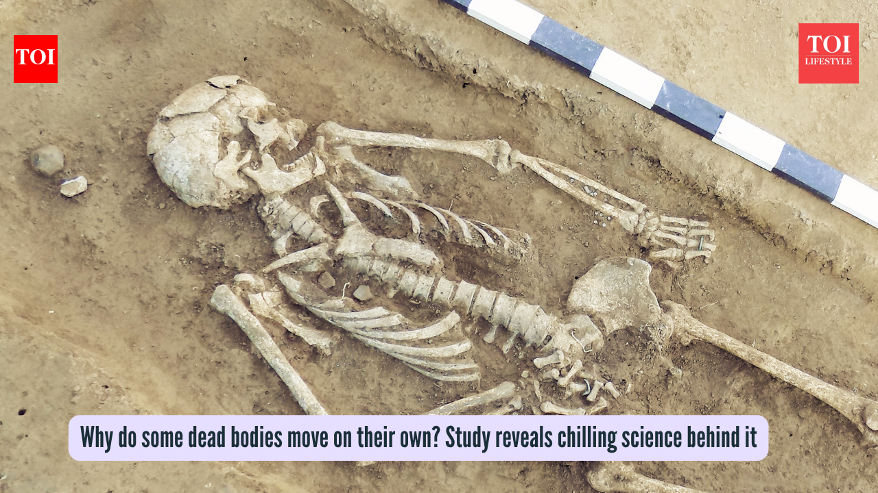 Why do some dead bodies move on their own? Study reveals chilling science behind it