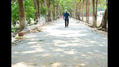 HC asks ASI to halt paver block work on walking track in Satyabrata Stadium