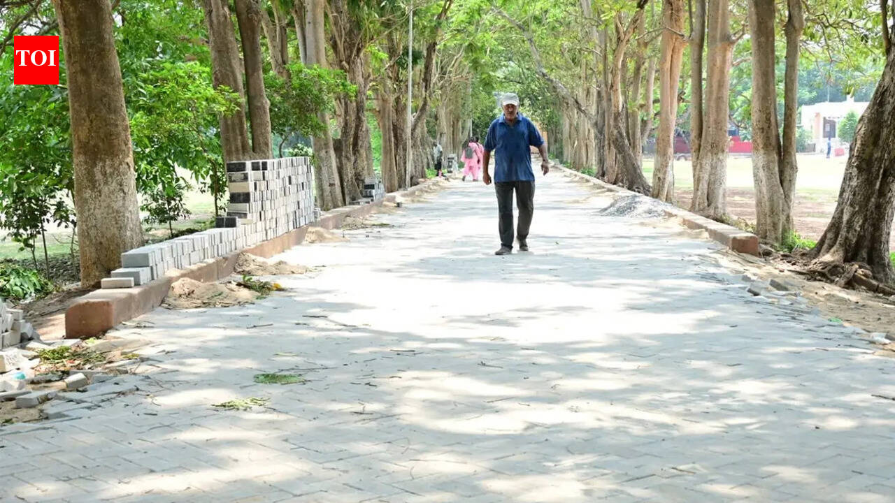 HC asks ASI to halt paver block work on walking track in Satyabrata Stadium