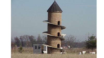 Goat Tower: Why an Illinois farmer built this 31-foot tower specifically for goats