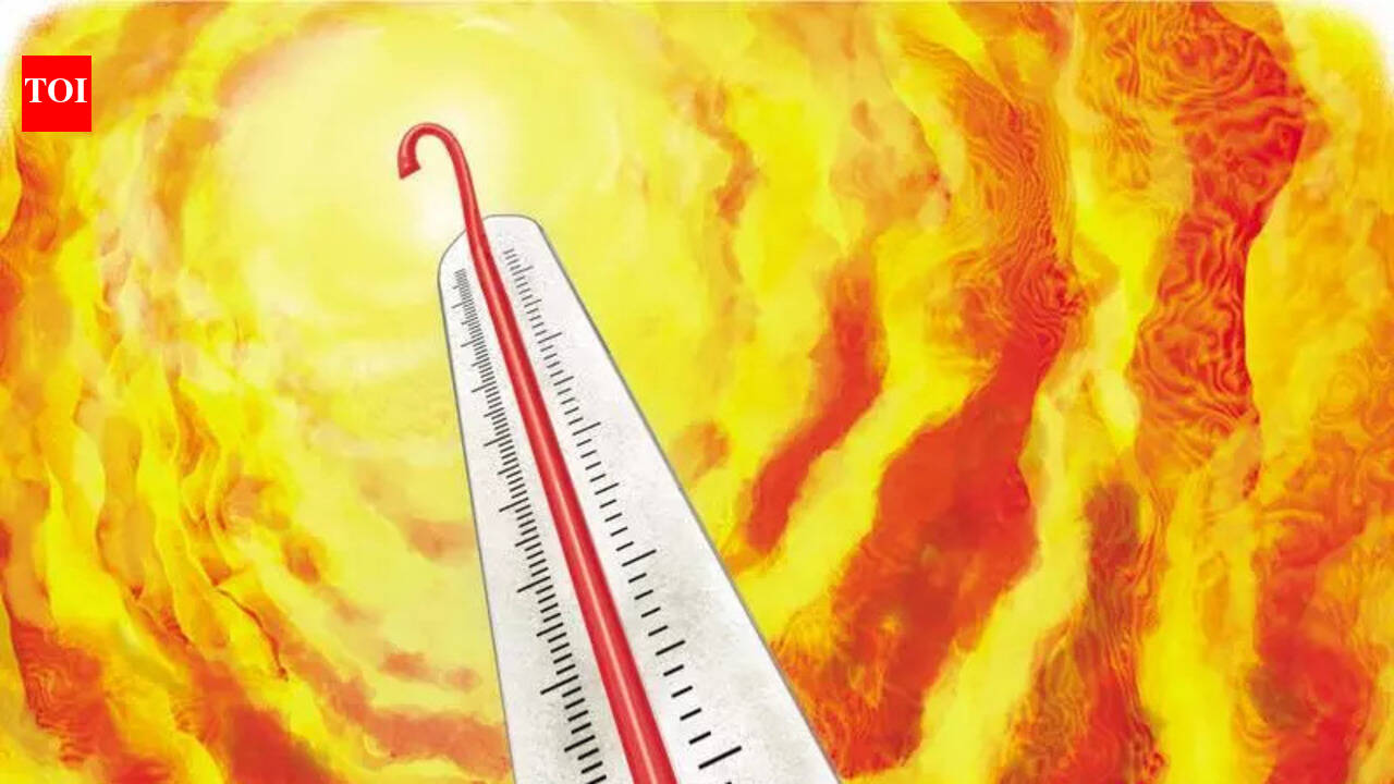 Agriculture department warns of crop loss risks in summer