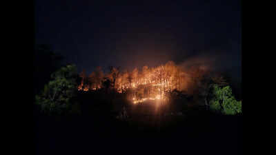 For 2 years, Similipal keeps fire points in double digits