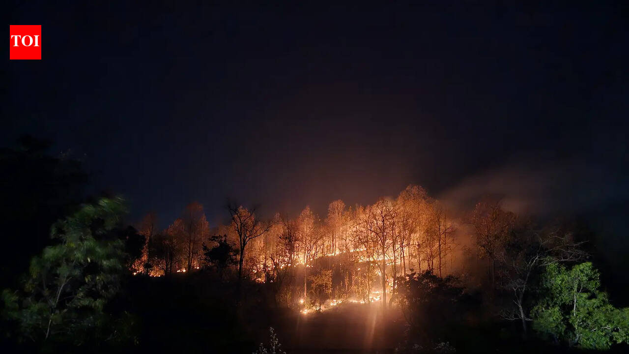 For 2 years, Similipal keeps fire points in double digits