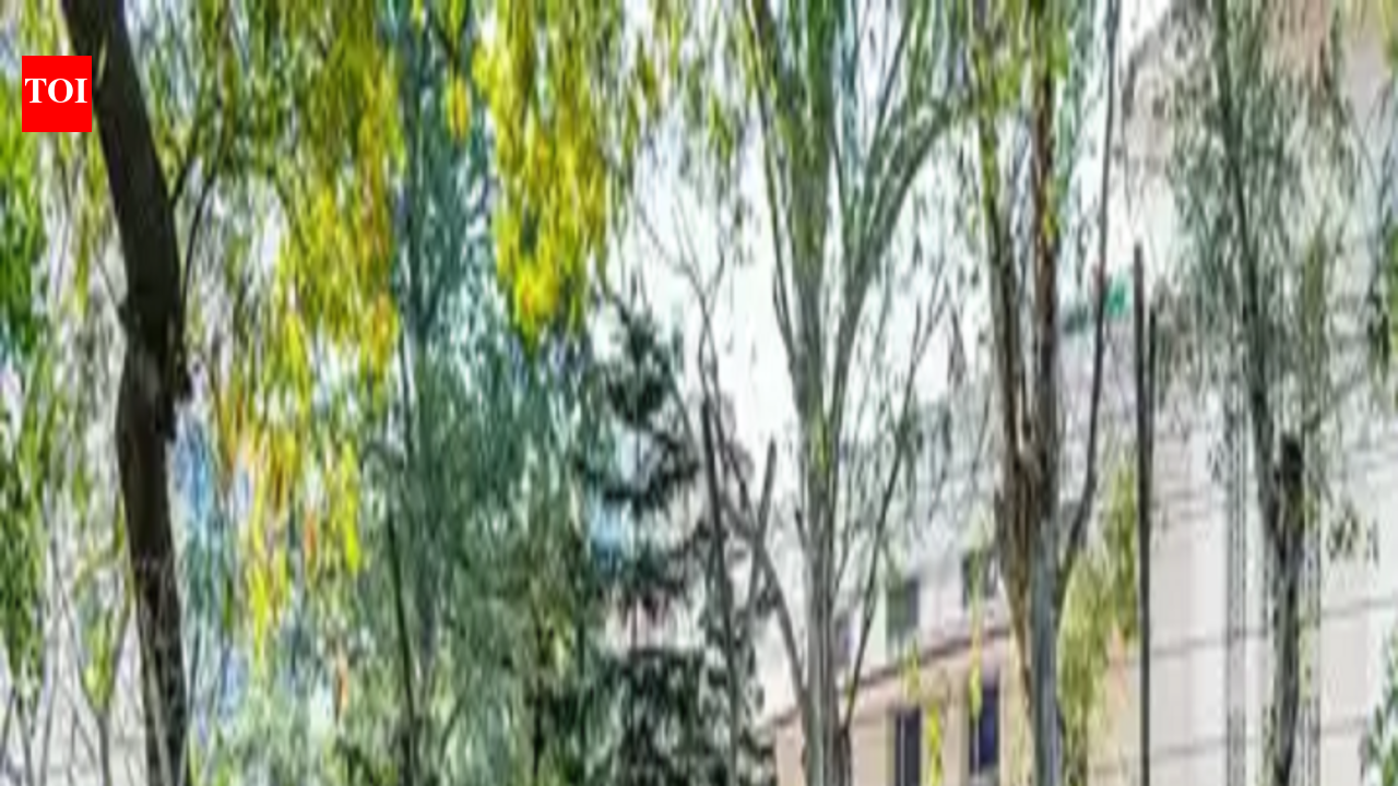 2024-batch IAS probationers undergo departmental training in Patna