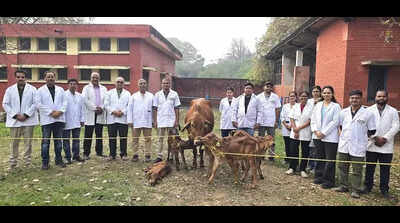 IVRI produces 5 Sahiwal calves in single IVF attempt