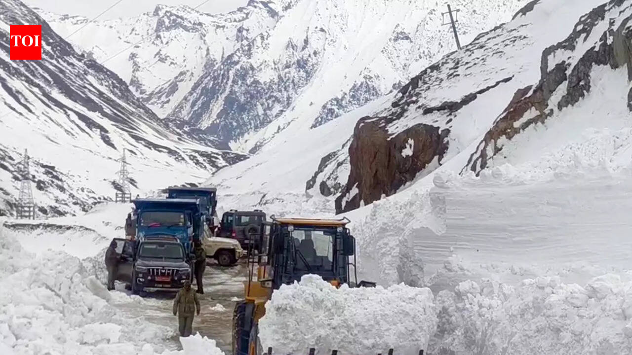 After Zoji La avalanche deaths, Ladakh hill council stakes claim on Zero Point