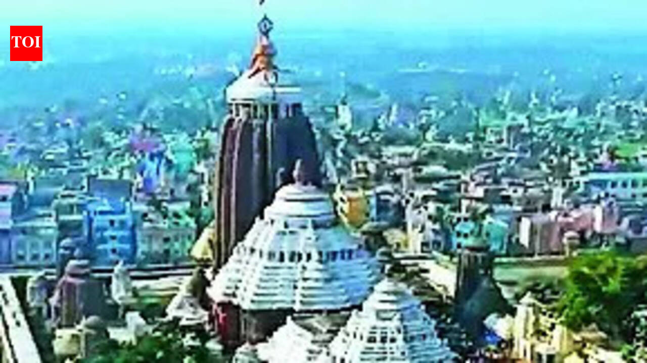 Experts link suspected tunnels beneath Puri shrine to ancient mutts