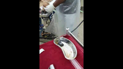Jamshedpur golden retriever gets second lease of life at Kol clinic