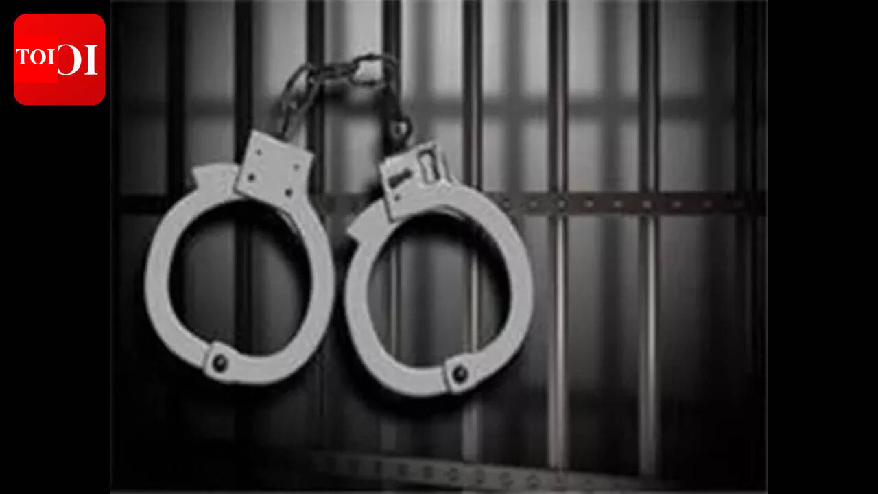 Seven arrested for operating cyberfraud racket from villa