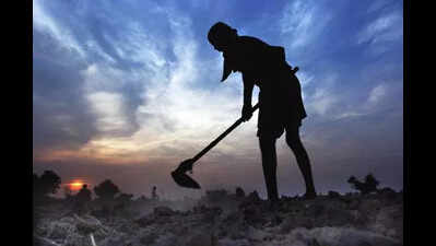 Govt relief to 286 farmers for crop damage by hailstorm, freak showers