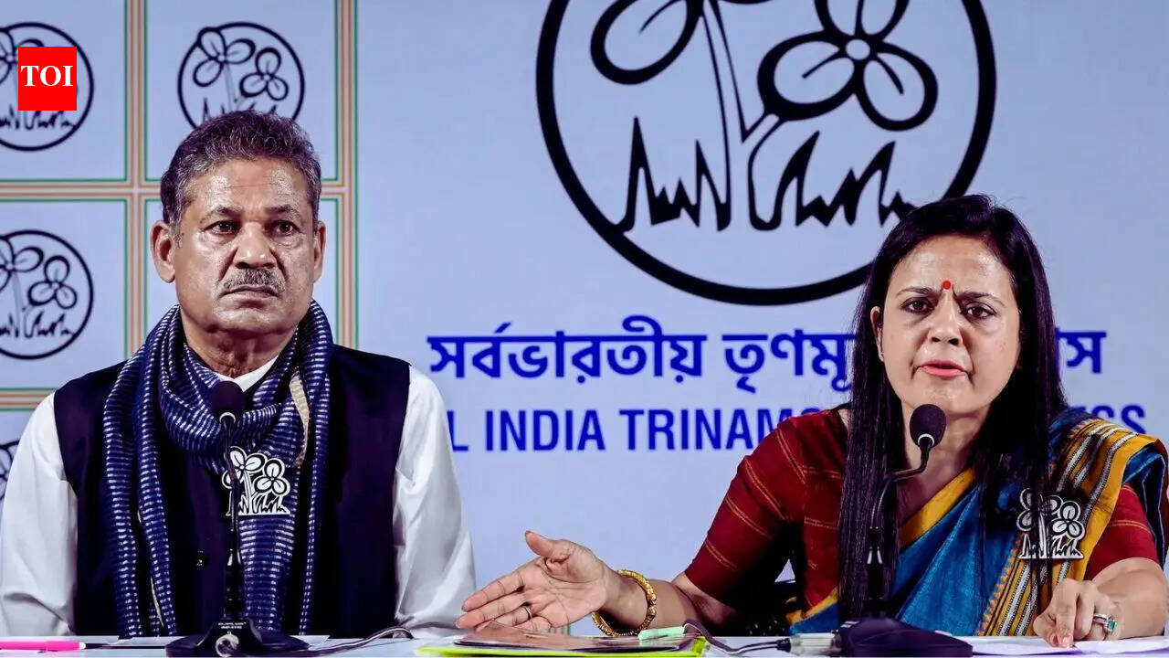 'Bengalis led the war for Independence. Who were the Gujaratis?': TMC MP Mahua Moitra