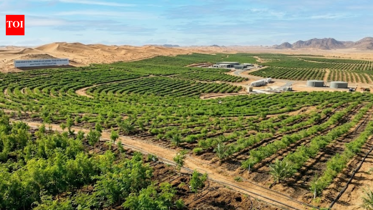 Saudi Arabia restores 1 million hectares of land, plants over 159 million trees under green initiative