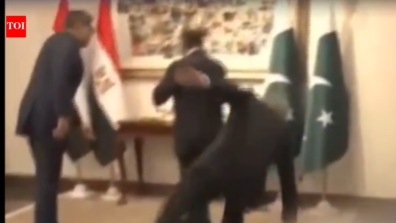 Pakistan deputy PM Ishaq Dhar falls while welcoming Egyptian FM to Middle East peace talks, video goes viral