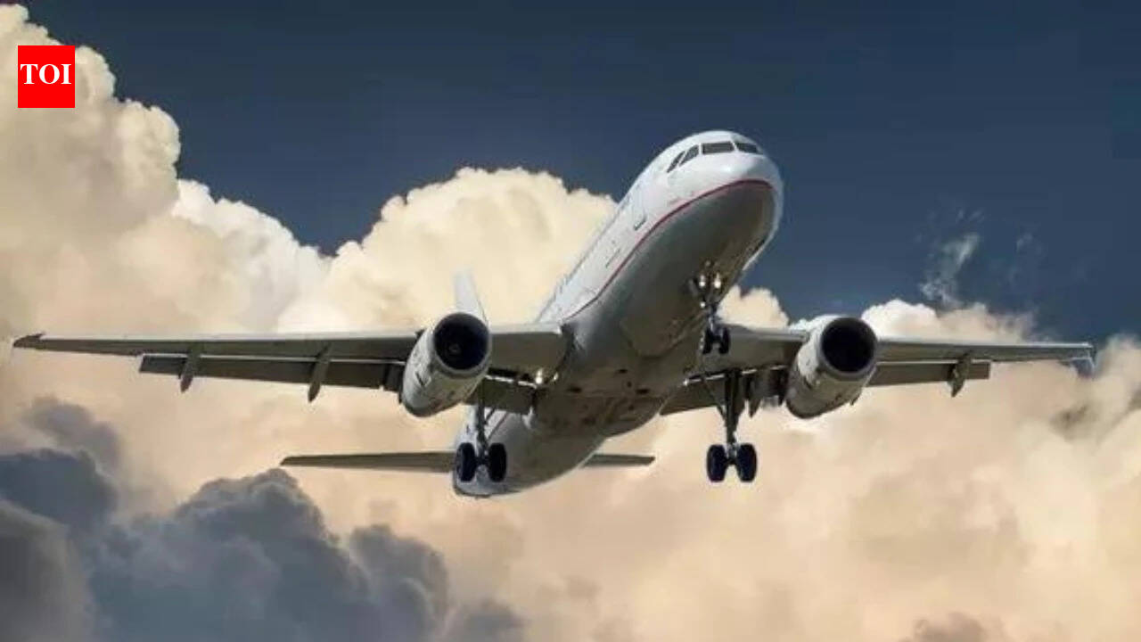 Airlines to offer at least 60% free seating from April 20: DGCA