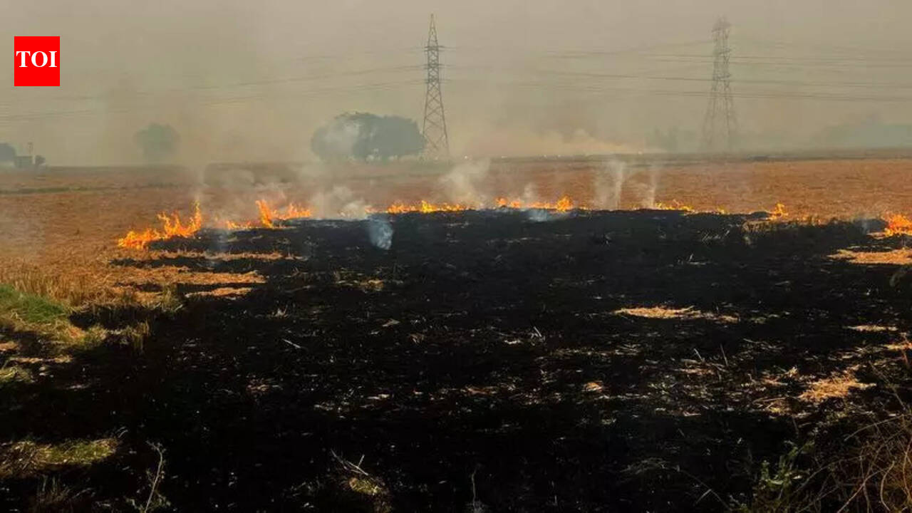 Farmers’ dialogue reinforces no-burn pledge