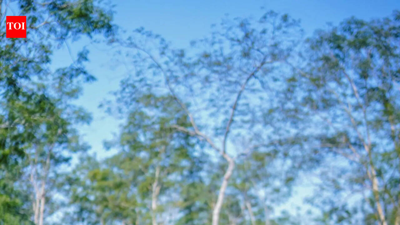 Nitin leaves for Assam, may quit as legislator with Nitish today