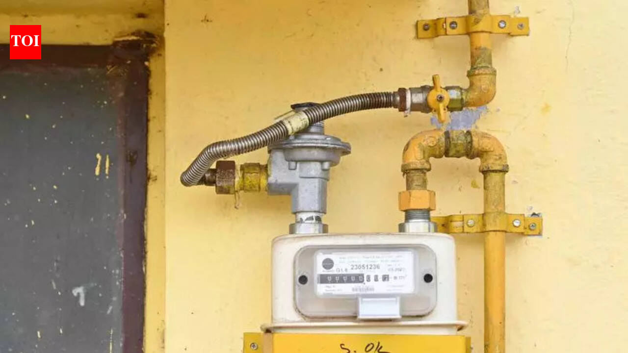 Over 30k homes get PNG in Patna, GAIL plans expansion