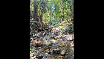  Old Goa’s water heritage may soon run dry