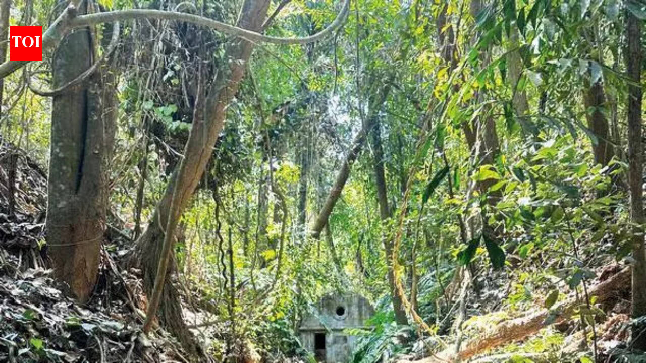 From pure fountain to fragile ruin: Old Goa’s water heritage may soon run dry