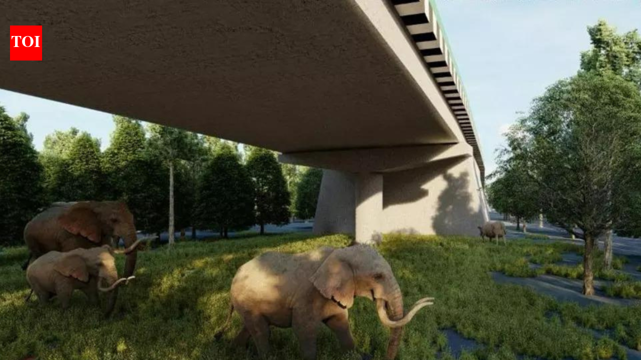 Wildlife actively use underpasses on Delhi-Doon economic corridor: Study