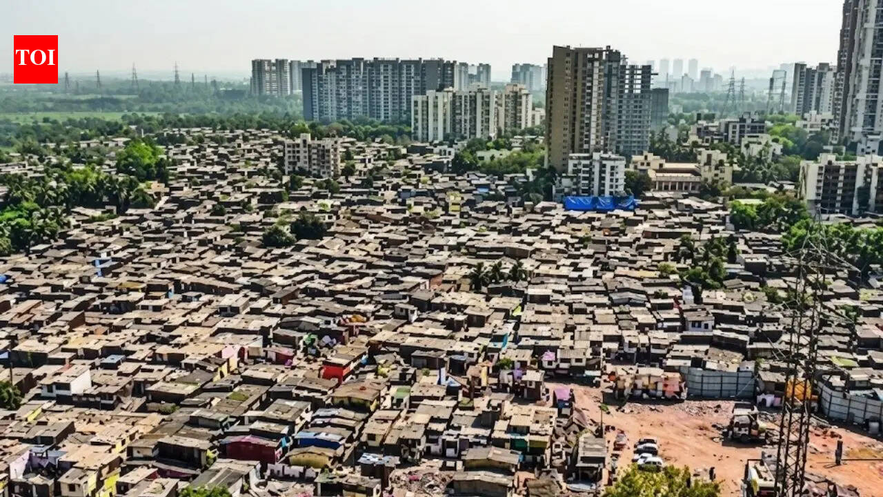 The Times of India - Politics - News Image