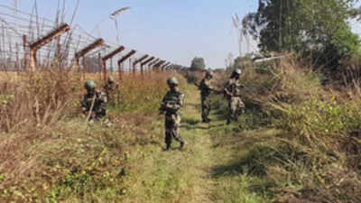 Two BSF personnel injured in assault in J-K's Samba