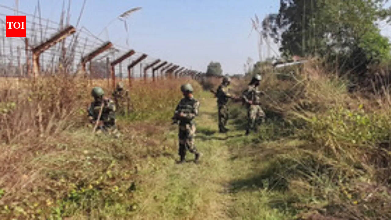 Two BSF personnel injured in assault in J-K's Samba