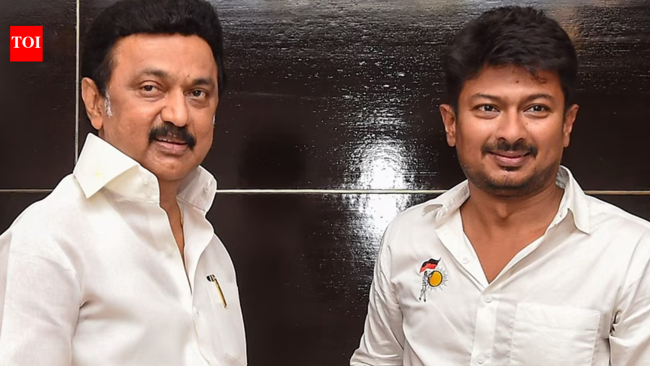 Tamil Nadu elections 2026: DMK leaders, including CM MK Stalin and deputy CM Udhayanidhi Stalin set for chennai poll fight