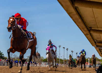 Bee Magical primed for finale glory