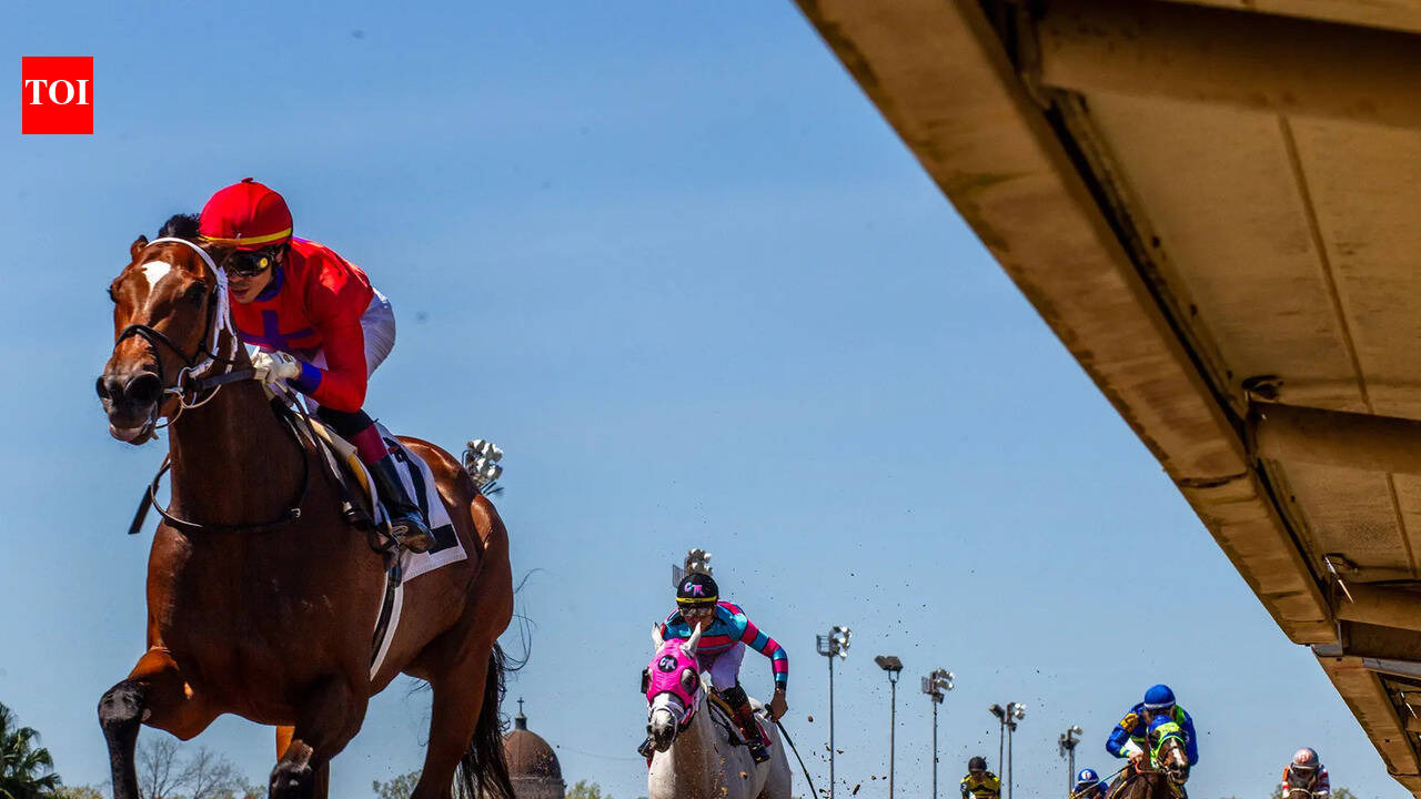 Bee Magical primed for finale glory