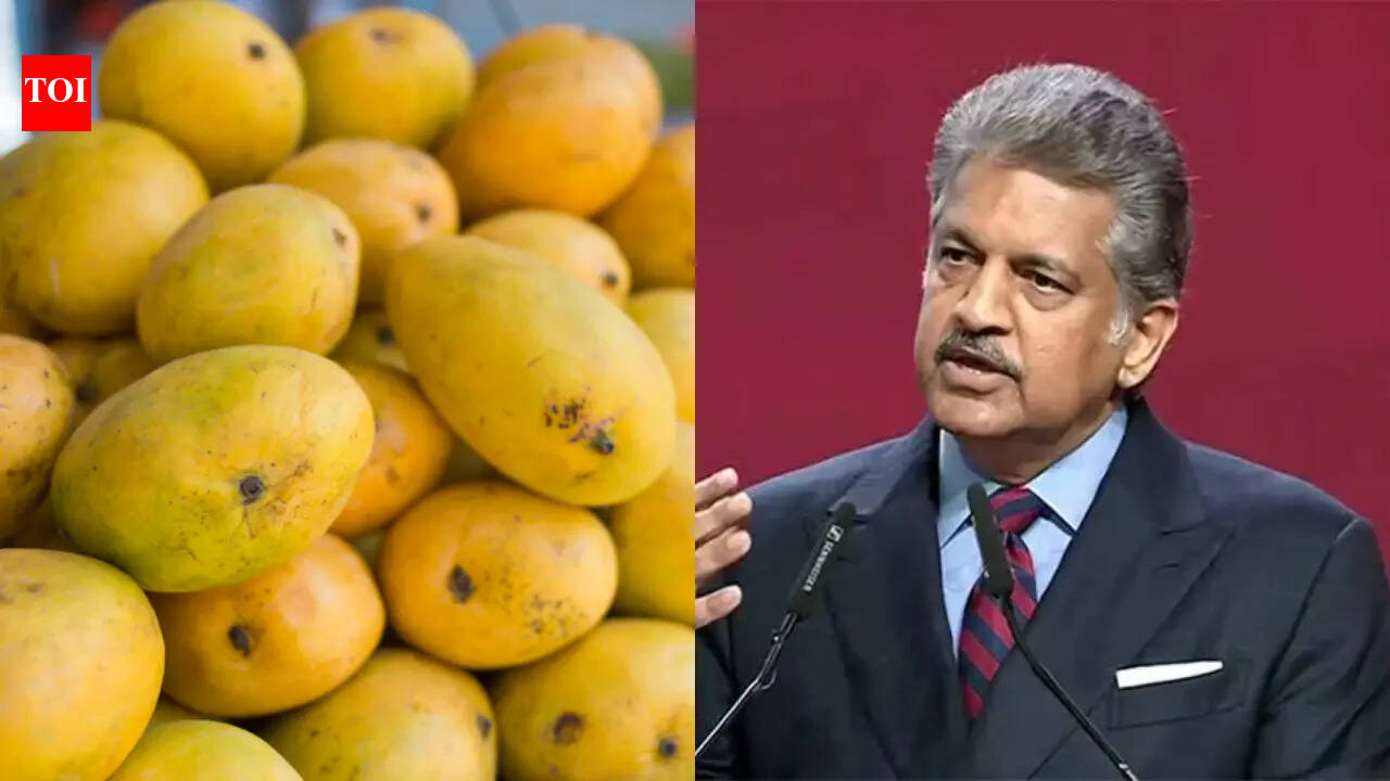 What is Sadabahar Mango and why Anand Mahindra is ready to support the Kota farmer who grows it
