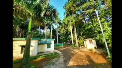 Talathi & circle officer blocked mutation plea, - lapses followed