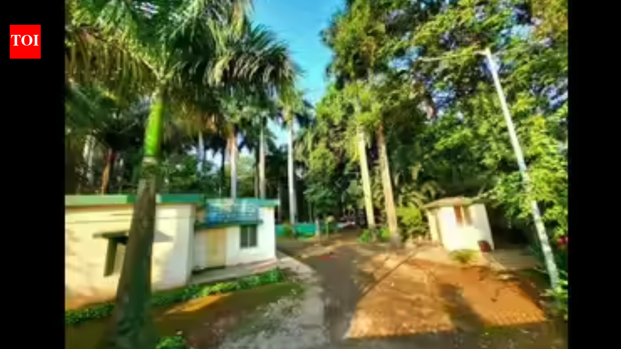 Panel for systemic reforms to avoid Mundhwa mistake