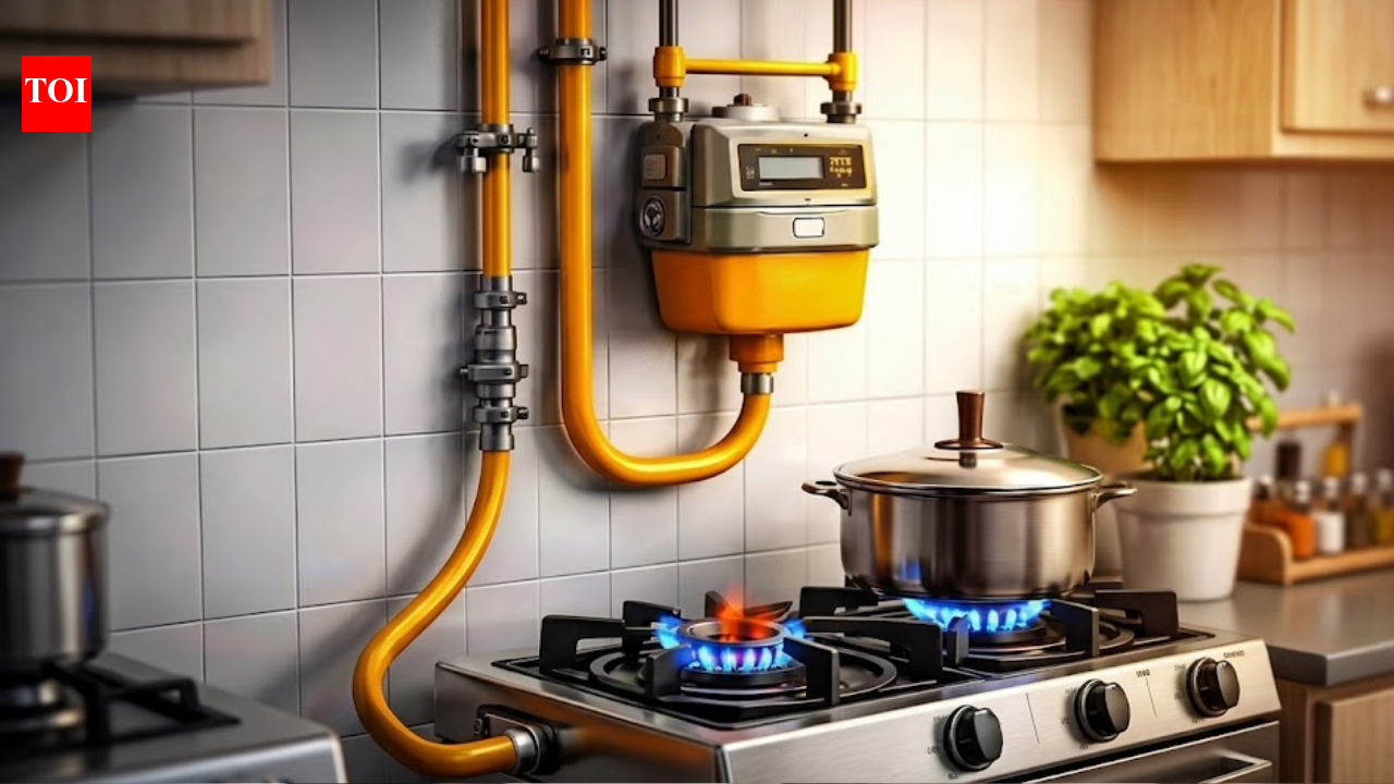 Maharashtra cooperation dept to push 6k societies to switch all residents to PNG