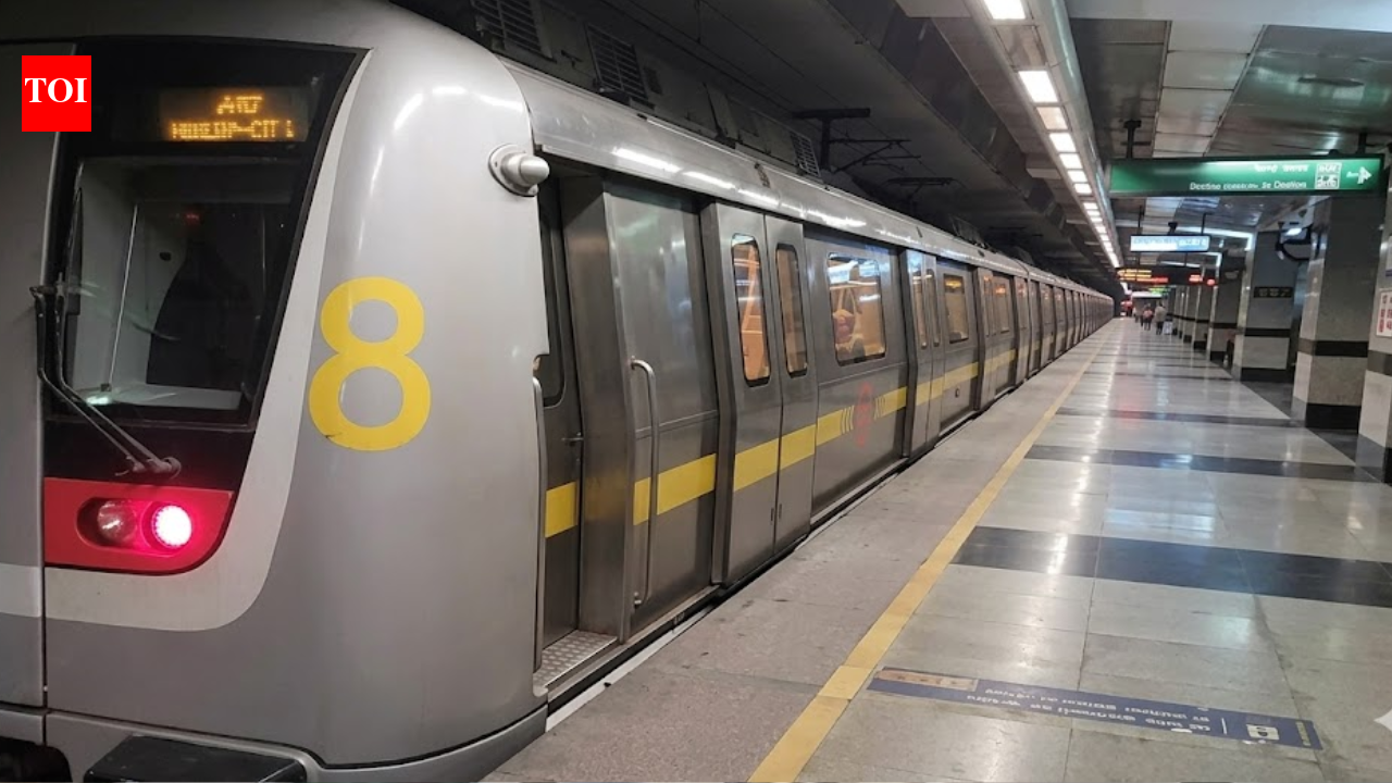 Delhi Metro yellow line disrupted for 1.5 hours after 'passenger on track' at Vishwavidyalaya station