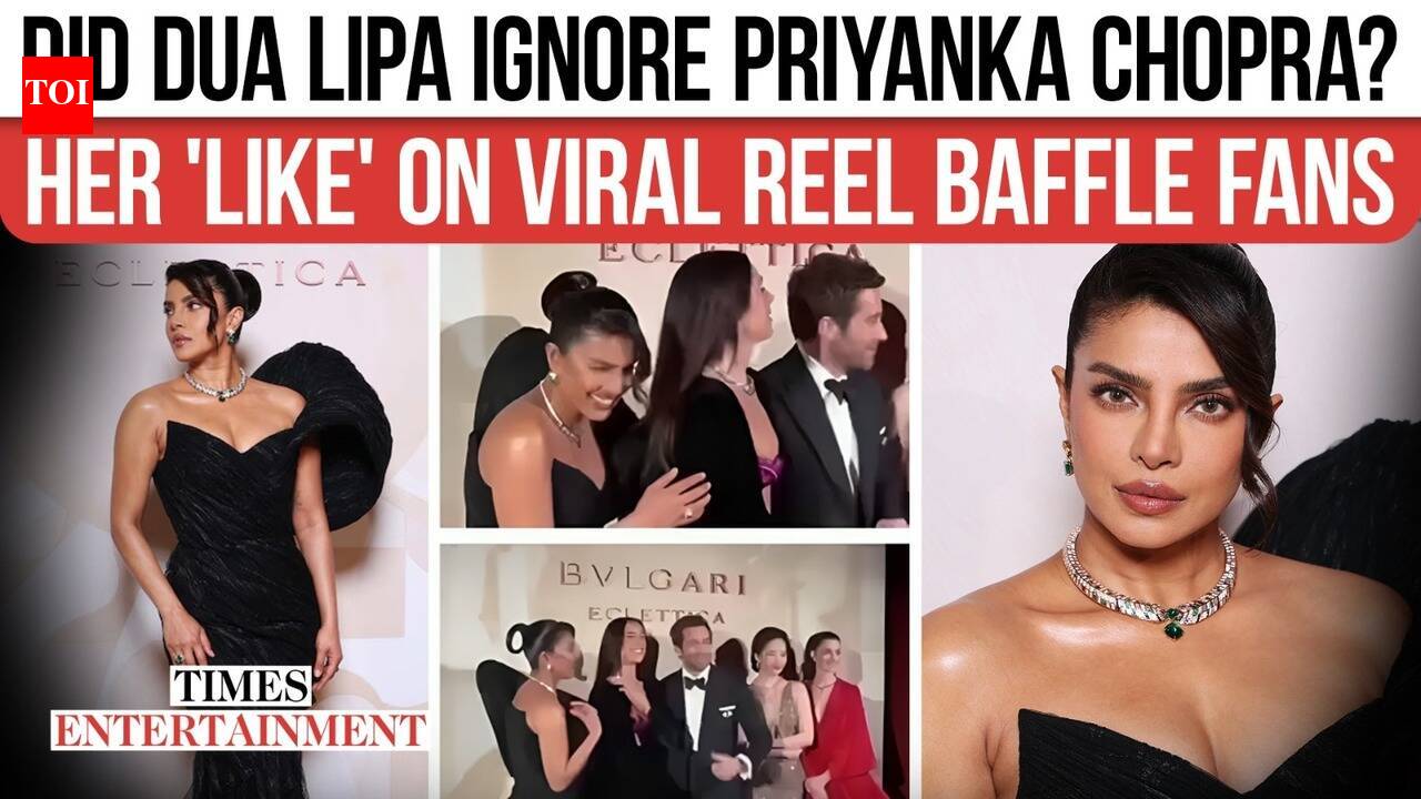 Did Dua Lipa Ignore Priyanka Chopra? Actor Reacts As Viral Clip Divides Internet