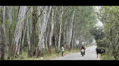 BDA invites tenders for BusinessCorridor’s Rs 3,348 crore 1st package