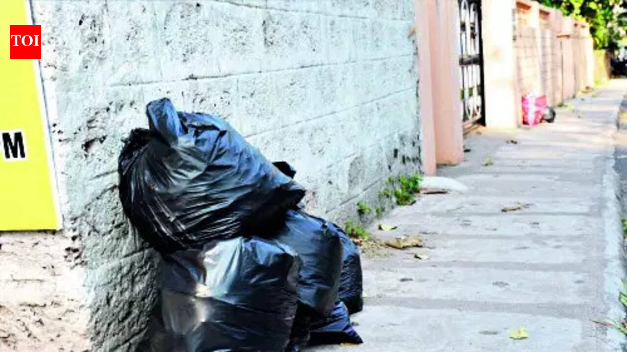 Govt to roll out four-bin waste system across urban bodies from April 1