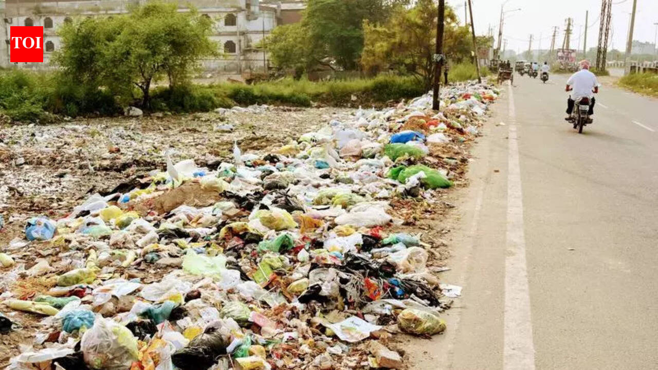 PPCB holds workshop on new waste management rules